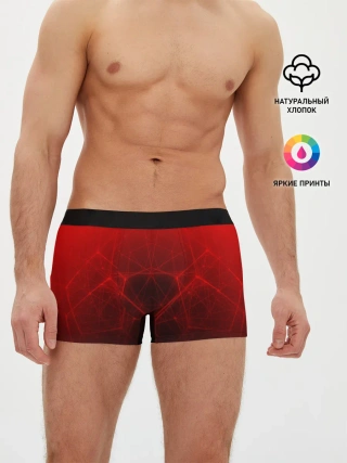 Мужские трусы боксеры / ГОЛОГРАФИЧЕСКАЯ ЗАЩИТА