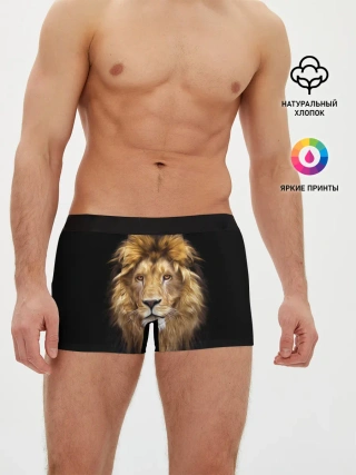 Мужские трусы боксеры / Лев