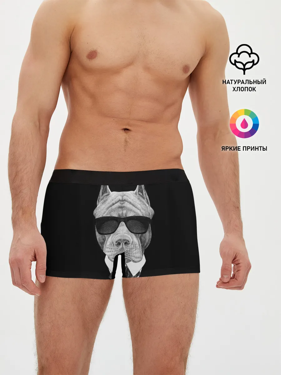 Мужские трусы боксеры / Питбуль