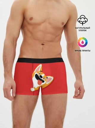 Мужские трусы боксеры / Вельш Корги Пемброк