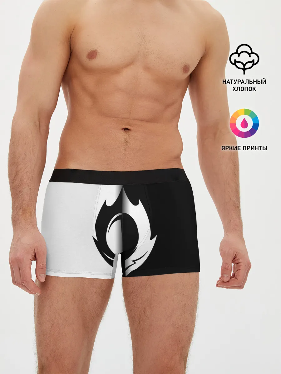 Мужские трусы боксеры / GODE GEASS symbol