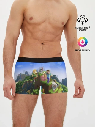 Мужские трусы боксеры / MINECRAFT