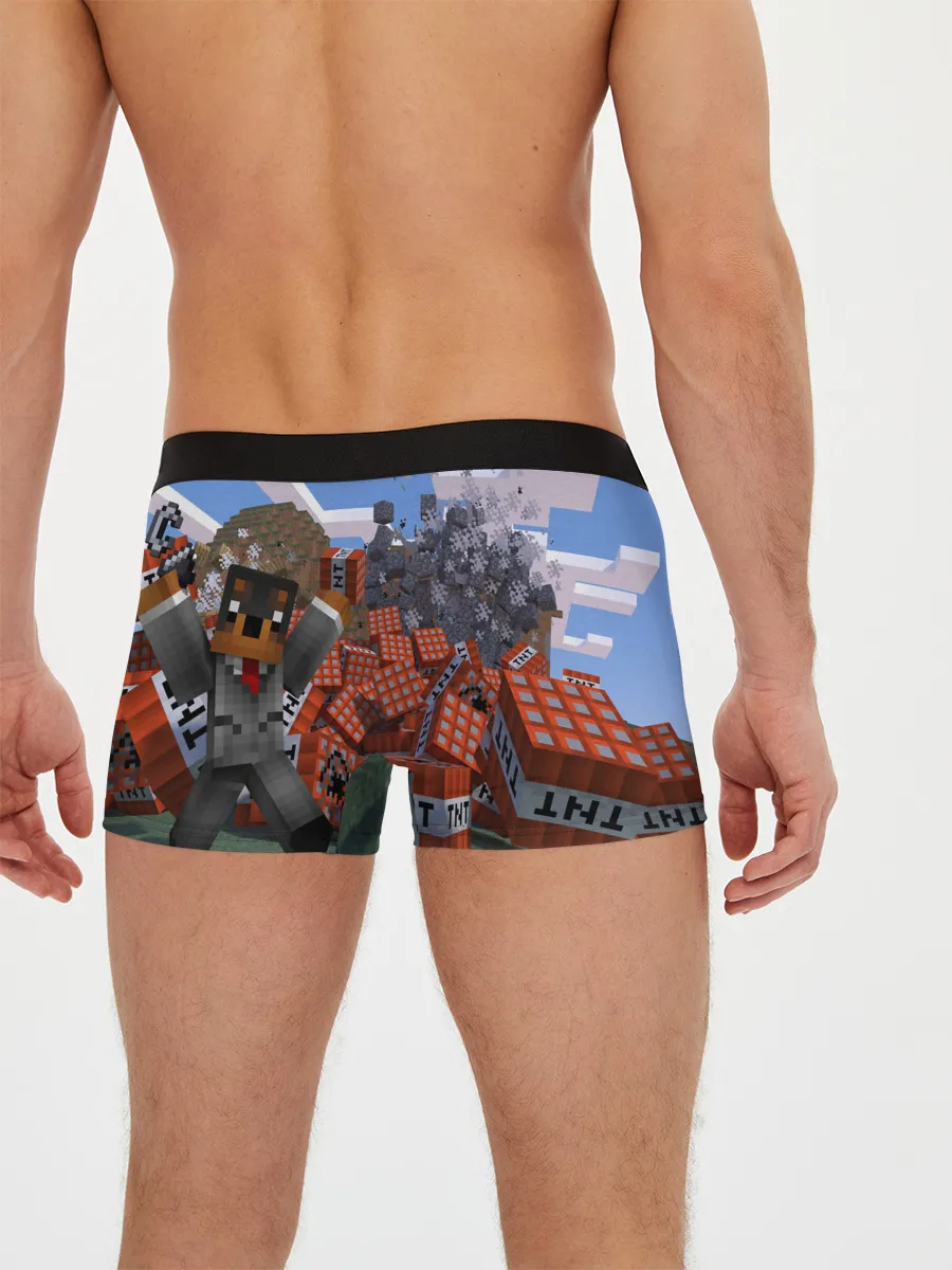 Мужские трусы боксеры / MINECRAFT
