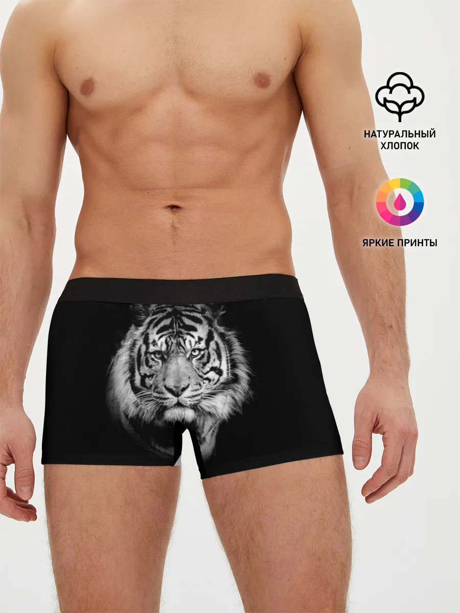 Мужские трусы боксеры / Тигр