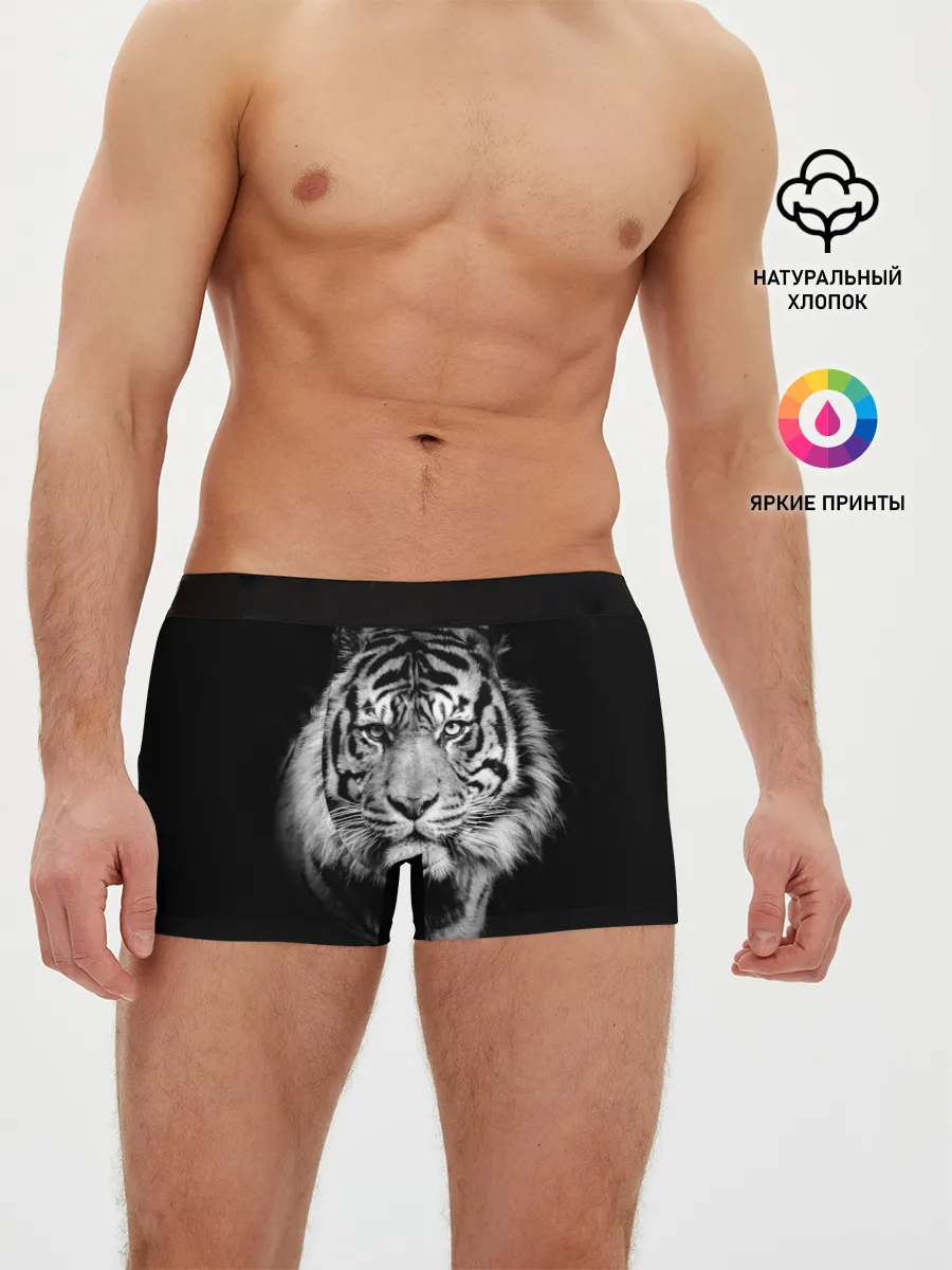 Мужские трусы боксеры / Тигр