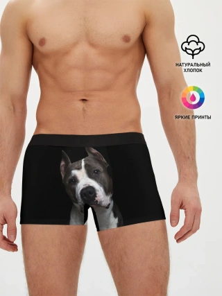 Мужские трусы боксеры / Американский питбуль