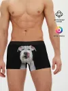 Мужские трусы боксеры / Белый шнауцер