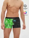 Мужские трусы боксеры / Minecraft EARTH