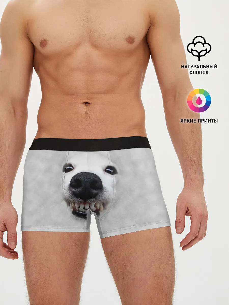 Мужские трусы боксеры / Собака - улыбака