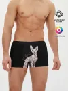 Мужские трусы боксеры / I Love Sphynx!