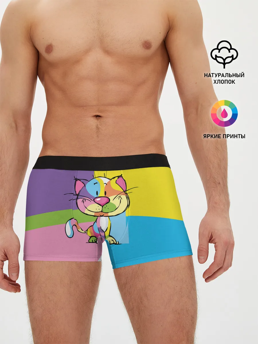 Мужские трусы боксеры / Кот