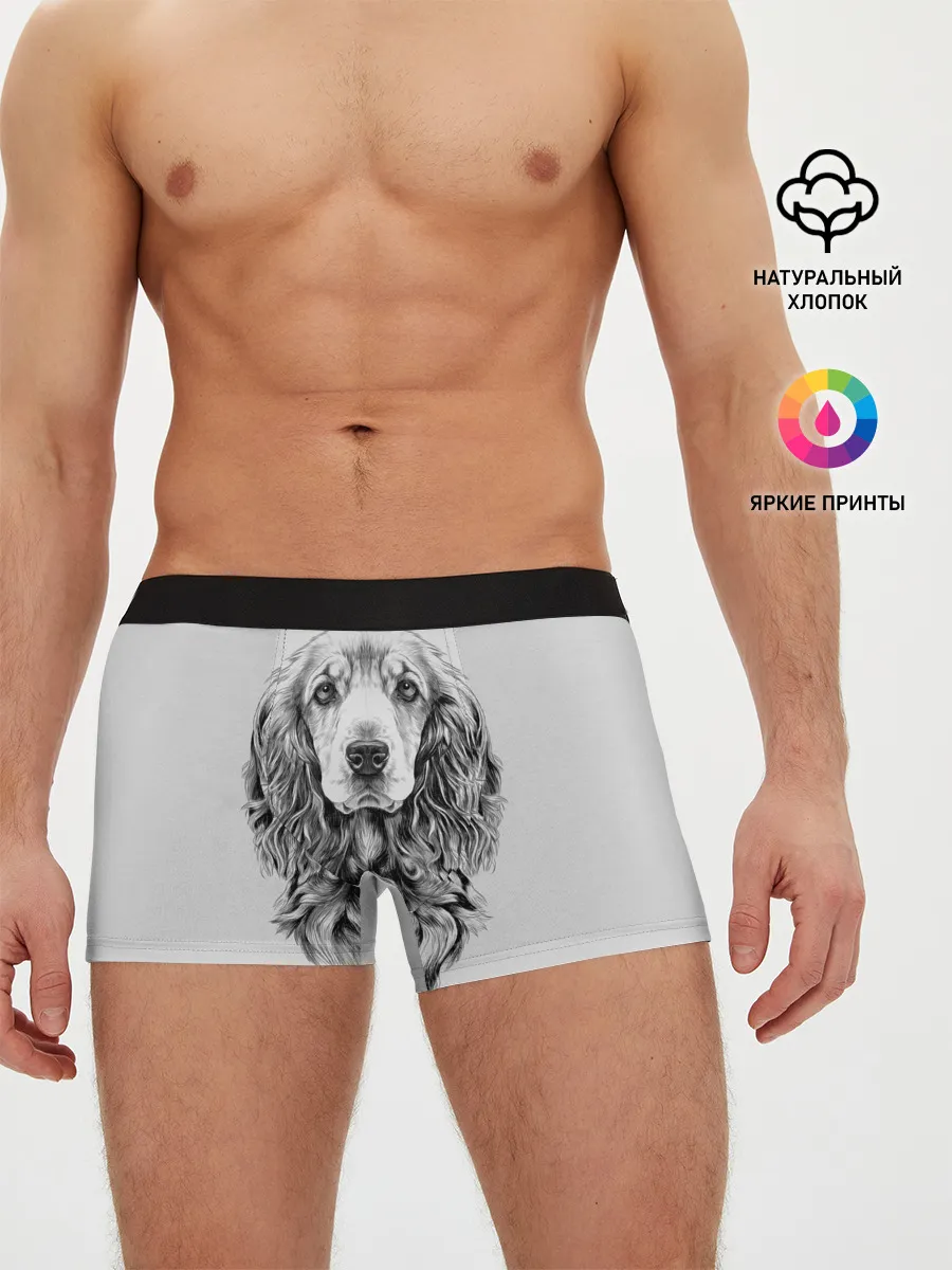 Мужские трусы боксеры / Кокер спаниель