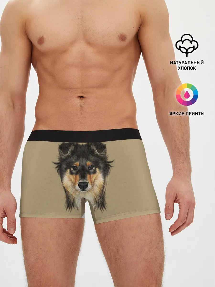 Мужские трусы боксеры / Sheltie