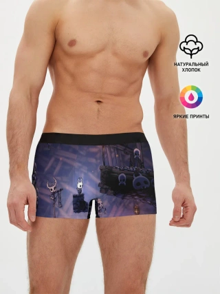 Мужские трусы боксеры / HOLLOW KNIGHT