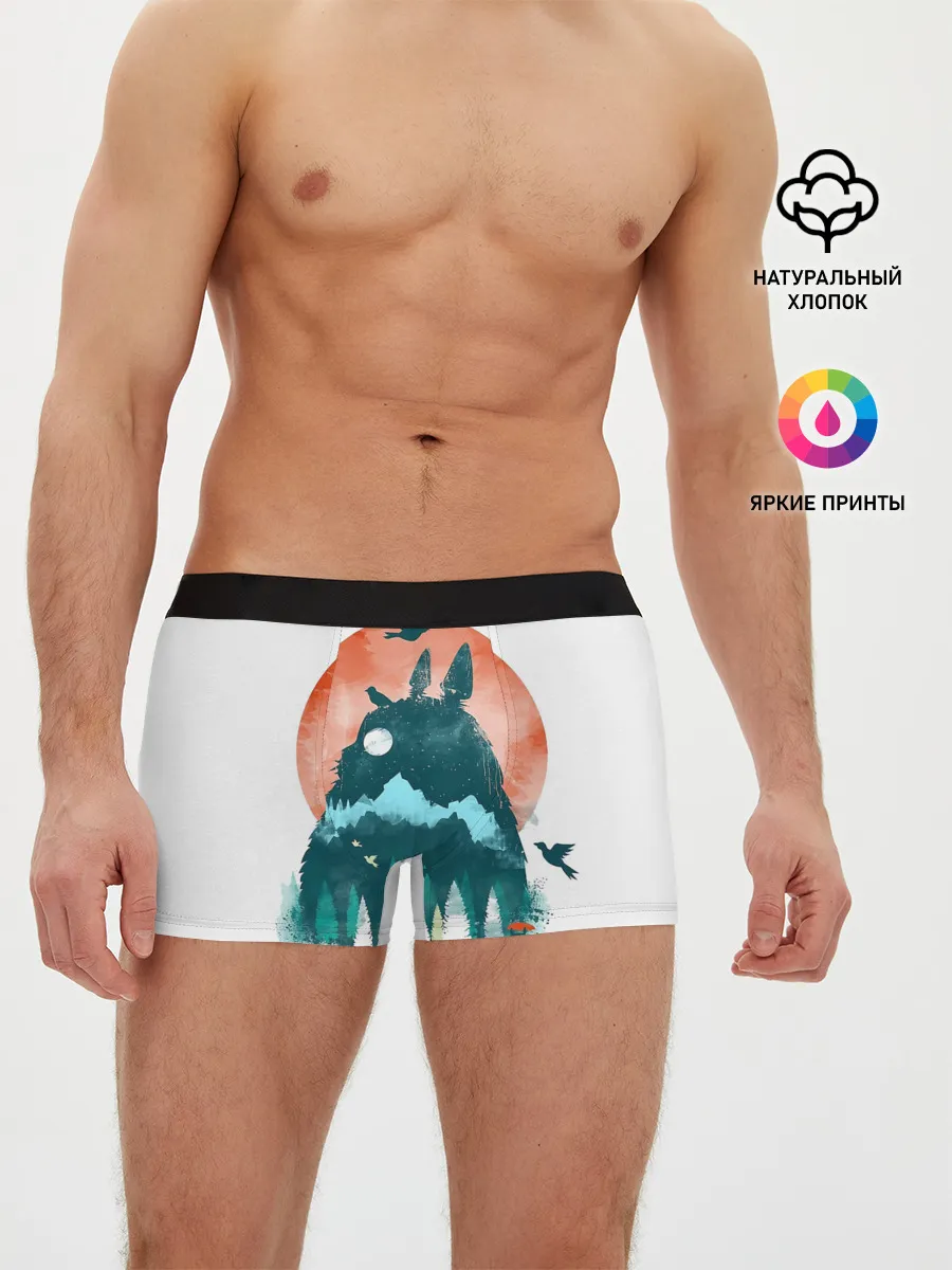 Мужские трусы боксеры / Силуэт Тоторо