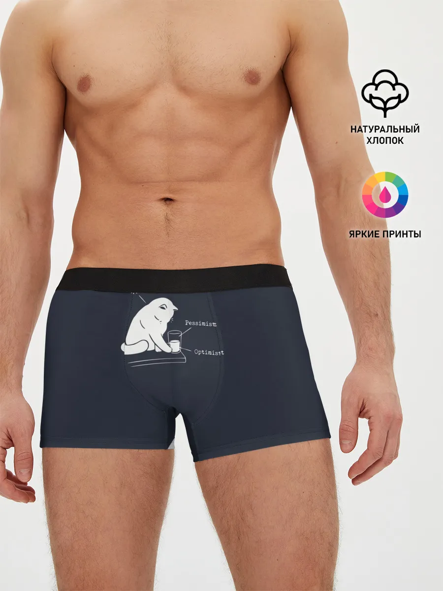 Мужские трусы боксеры / Кот хулиган