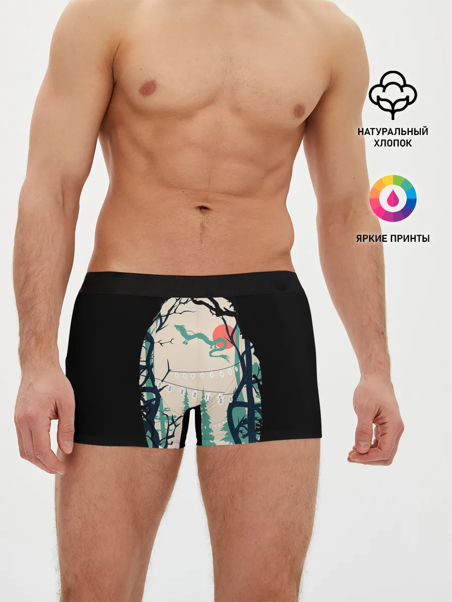 Мужские трусы боксеры / Хранители леса и дракон