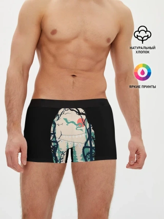 Мужские трусы боксеры / Хранители леса и дракон