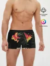 Мужские трусы боксеры / Годзилла