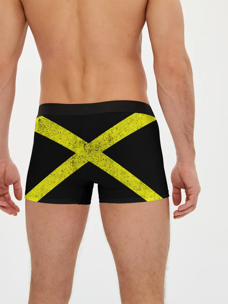 Мужские трусы боксеры / Twenty One Pilots 13