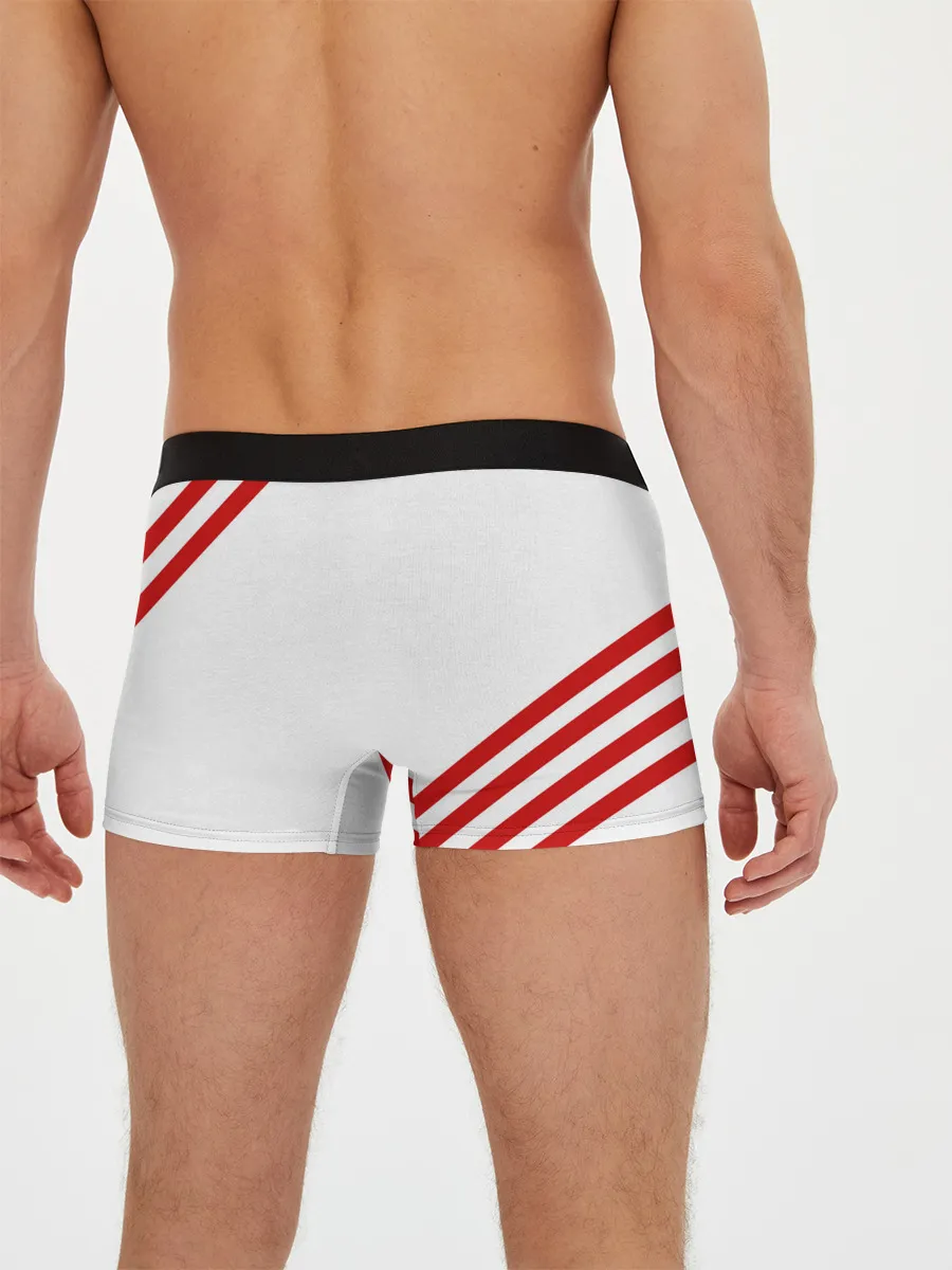 Мужские трусы боксеры / Rammstein