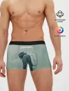 Мужские трусы боксеры / Чернобыль