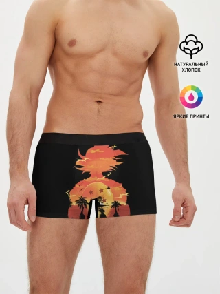 Мужские трусы боксеры / Dragon Ball Illusion