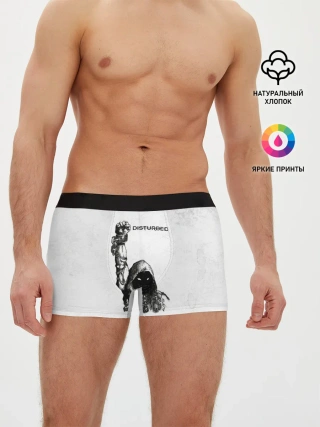 Мужские трусы боксеры / Disturbed