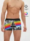 Мужские трусы боксеры / PINK FLOYD