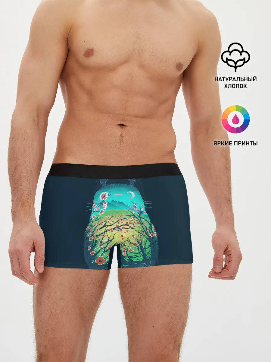 Мужские трусы боксеры / Totoro