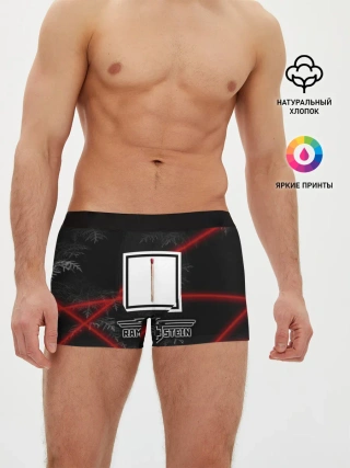 Мужские трусы боксеры / Rammstein
