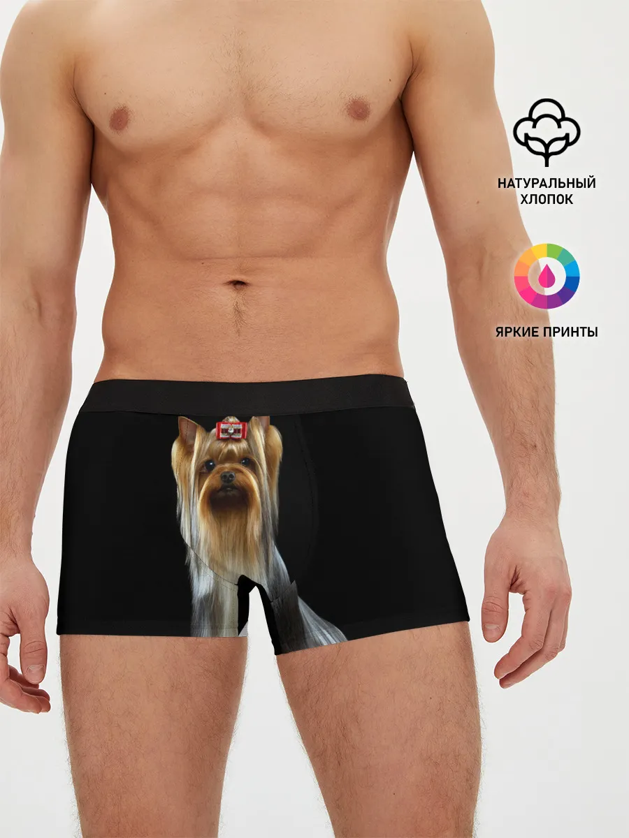 Мужские трусы боксеры / Йоркширский терьер