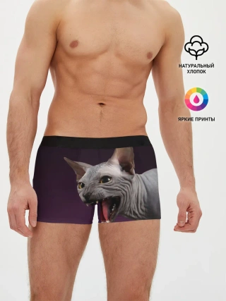 Мужские трусы боксеры / Сфинкс