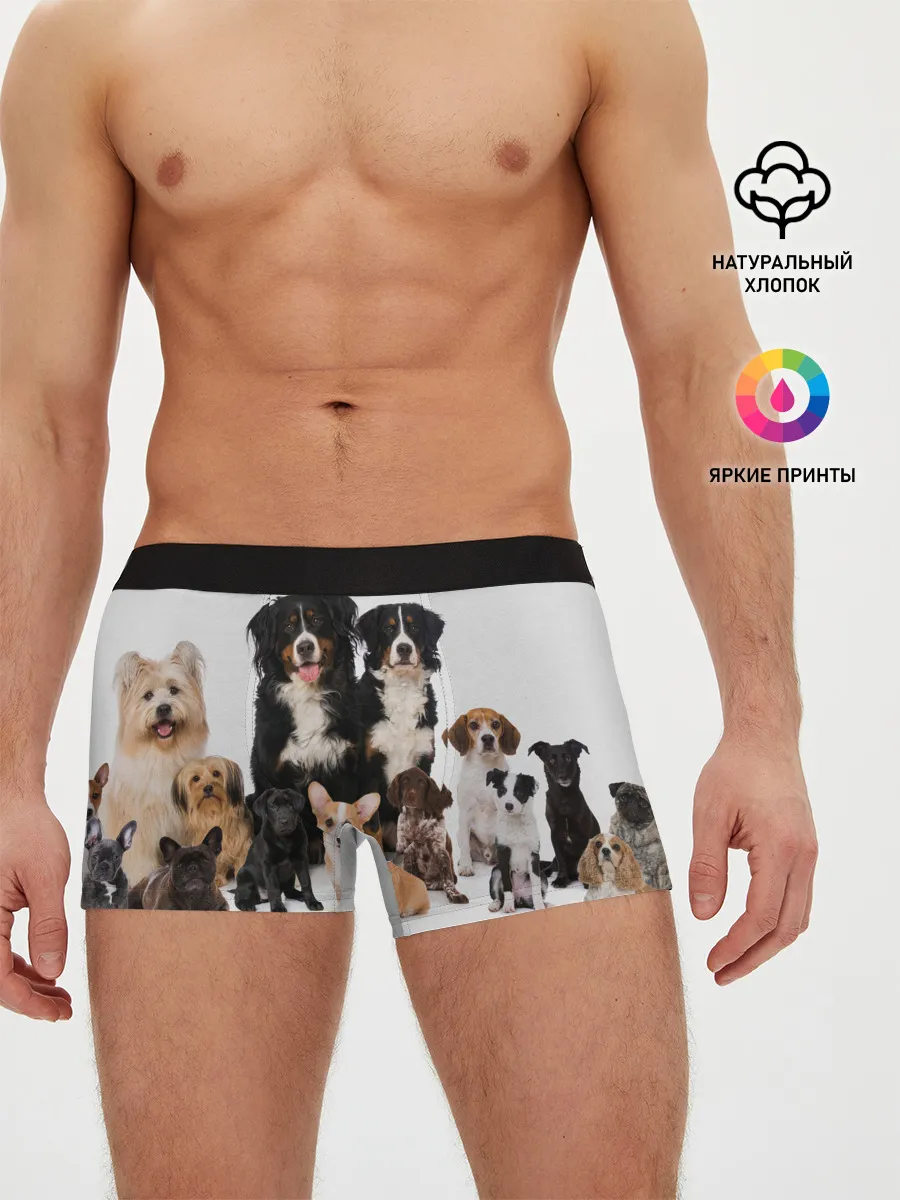 Мужские трусы боксеры / Породистые собаки
