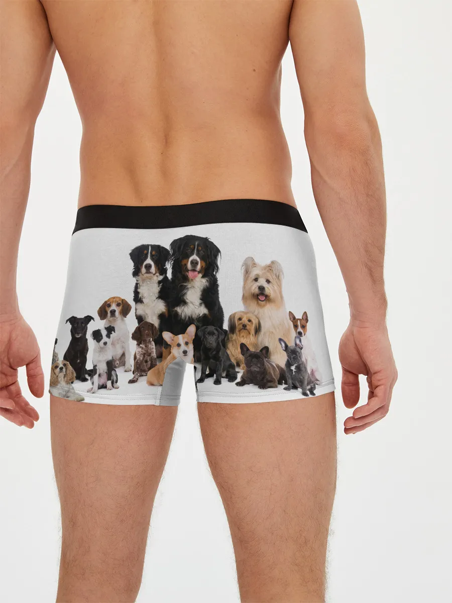 Мужские трусы боксеры / Породистые собаки
