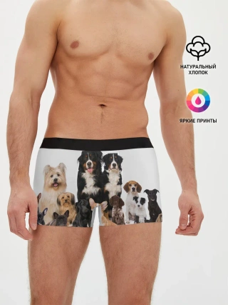 Мужские трусы боксеры / Породистые собаки
