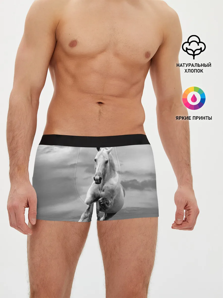 Мужские трусы боксеры / Белая лошадь