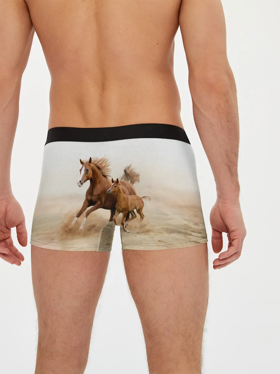 Мужские трусы боксеры / Лошадь с жеребенком