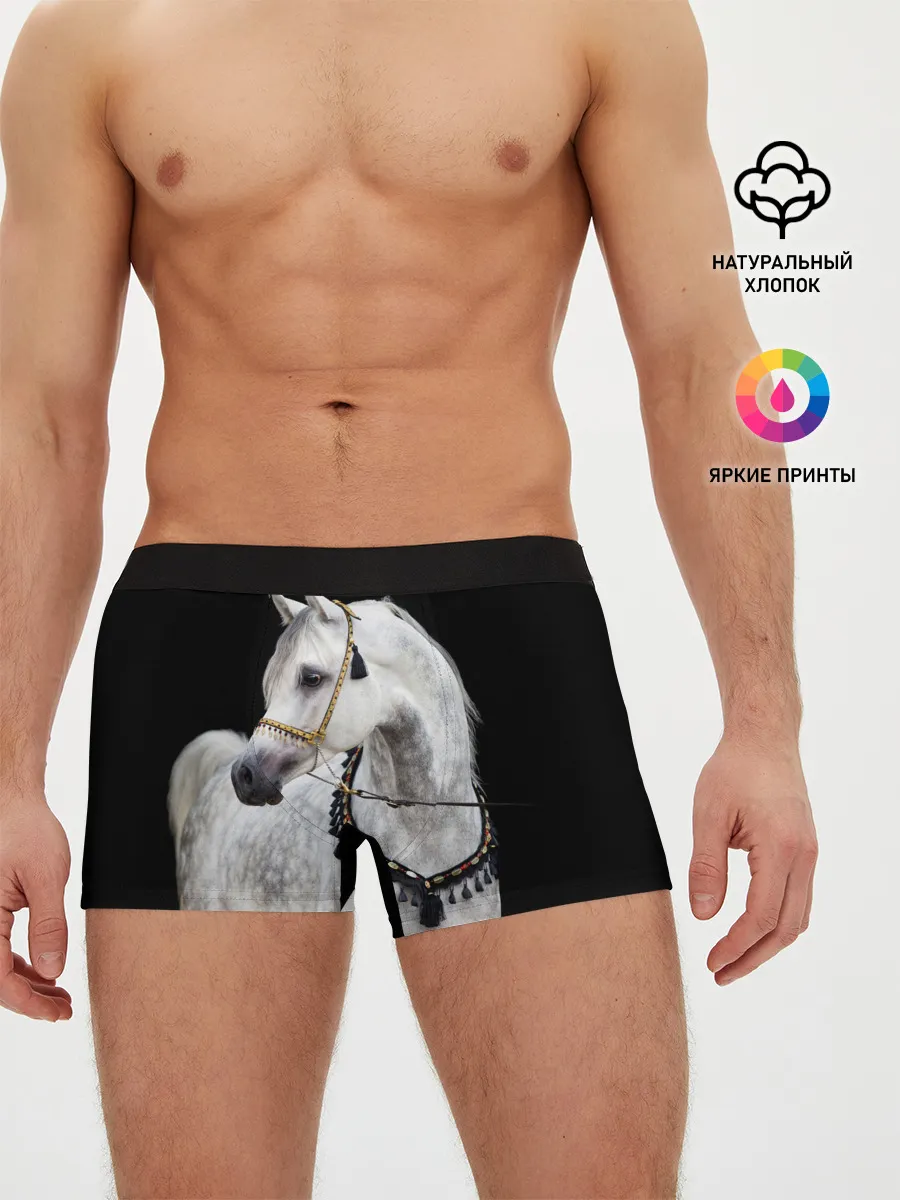Мужские трусы боксеры / Серый в яблоках конь