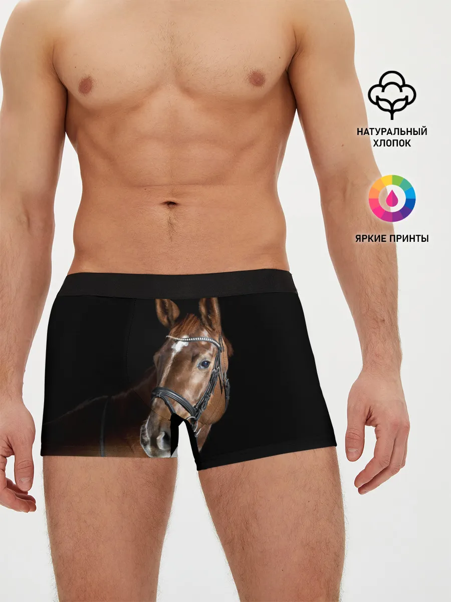 Мужские трусы боксеры / Гнедая лошадь