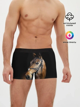 Мужские трусы боксеры / Гнедая лошадь
