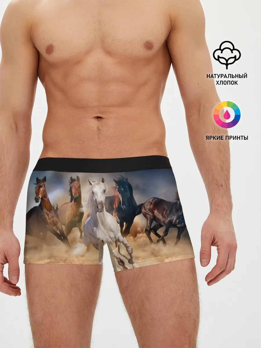 Мужские трусы боксеры / Табун