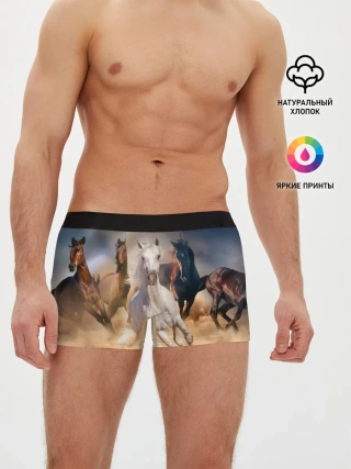 Мужские трусы боксеры / Табун