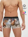 Мужские трусы боксеры / Табун