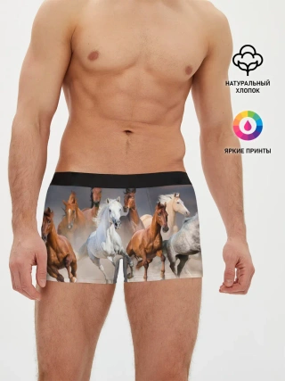Мужские трусы боксеры / Табун