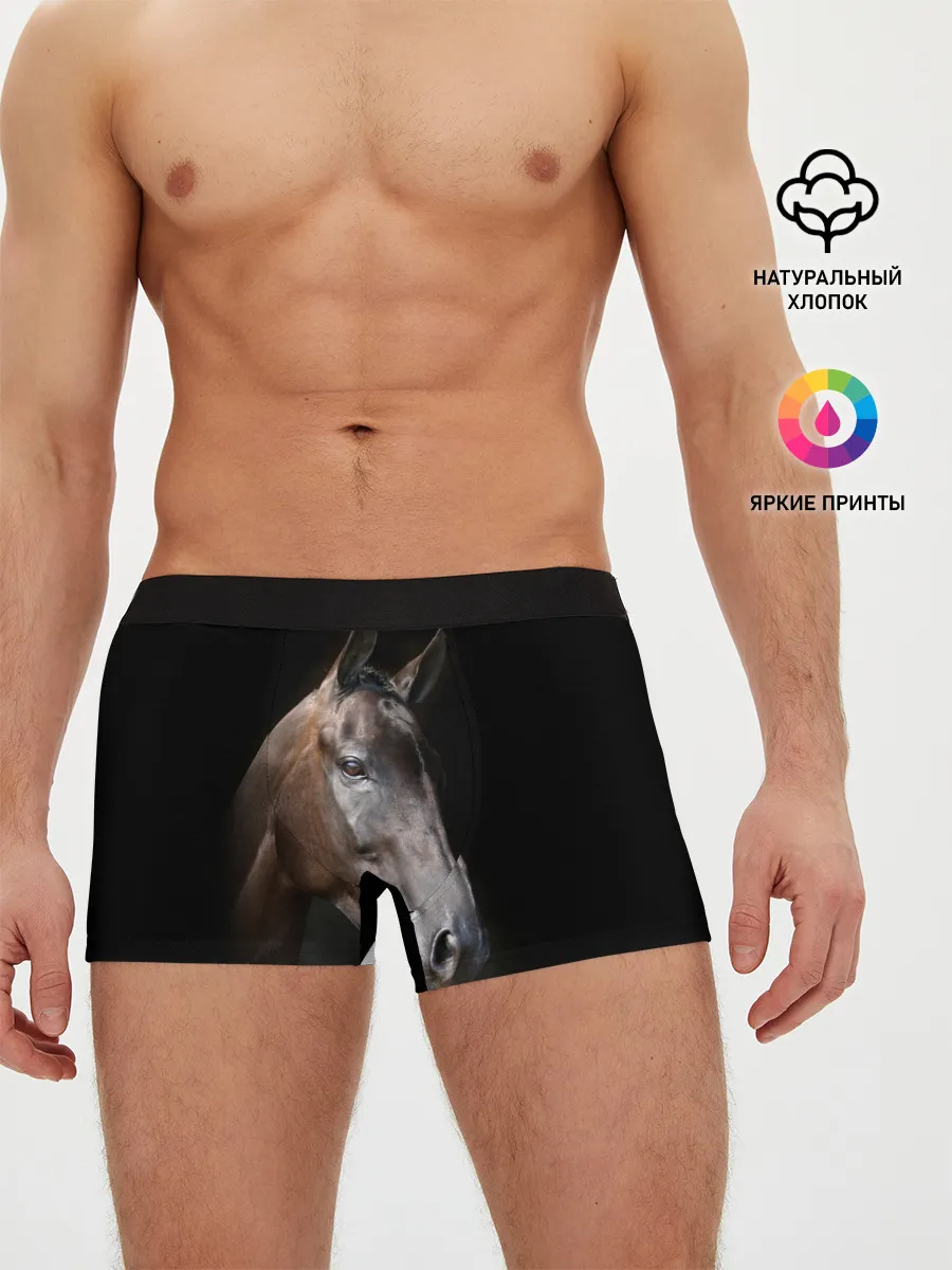 Мужские трусы боксеры / Лошадь