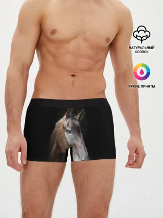 Мужские трусы боксеры / Лошадь