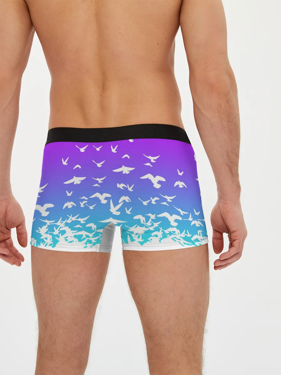 Мужские трусы боксеры / Фейри Тейл птички