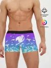 Мужские трусы боксеры / Фейри Тейл птички
