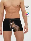 Мужские трусы боксеры / Гнедая лошадь